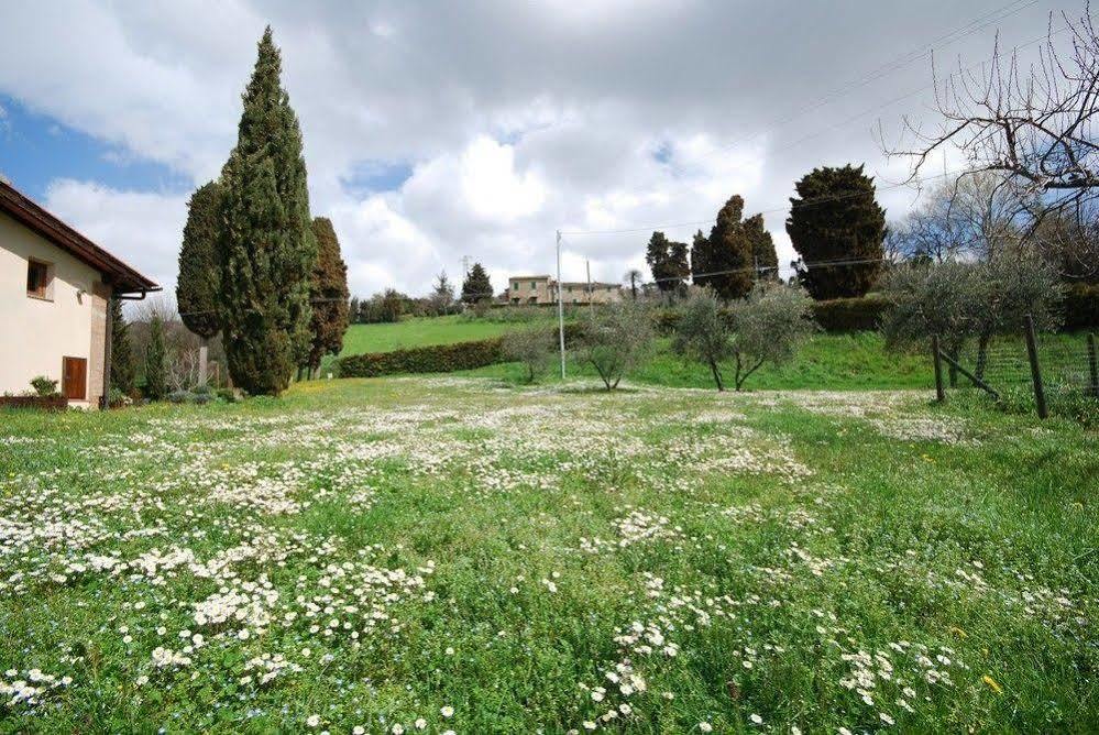 Agriturismo Villa Opera Volterra Eksteriør bilde